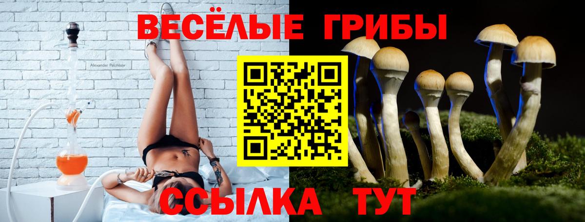Кемерово  Галлюциногенные грибы Psilocybine cubensis  Вход с VPN 
