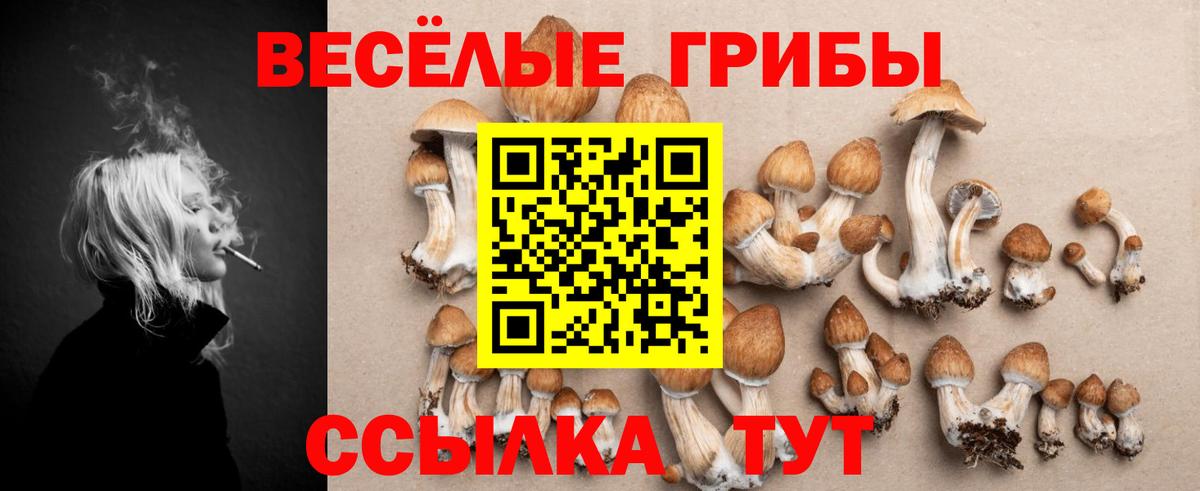 Галлюциногенные грибы Cubensis Кемерово