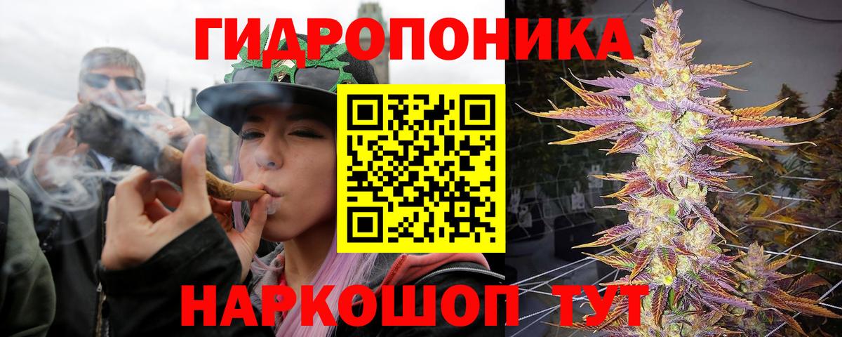 Бошки марихуана марихуана Кемерово